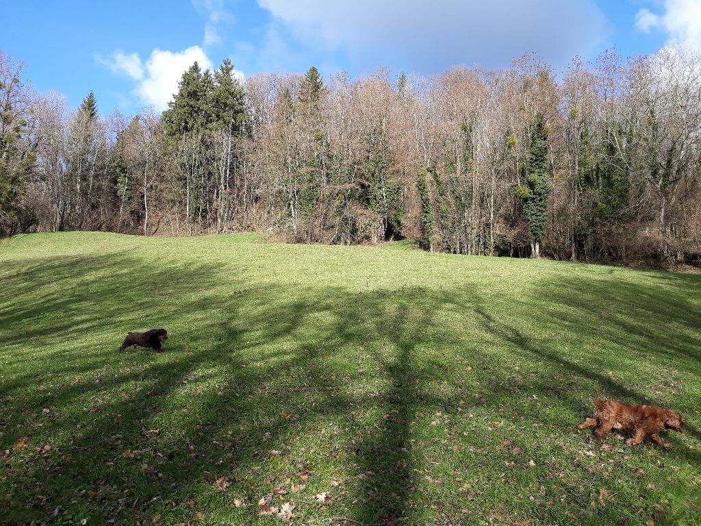 Du Domaine De Blegny - Ballade, liberté, joie !!!