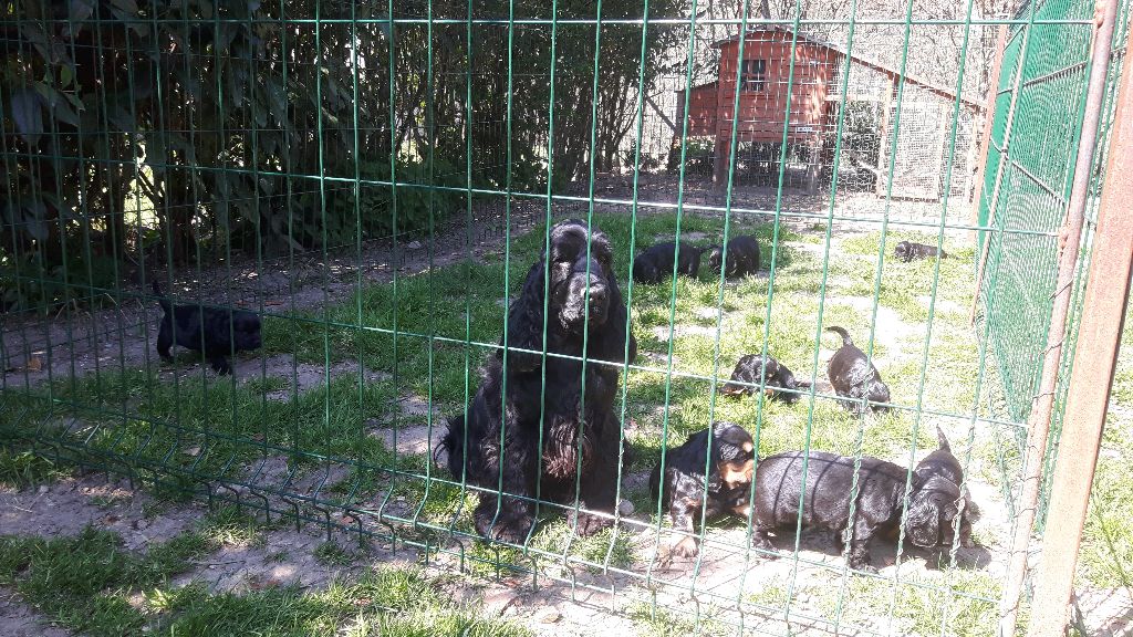 Du Domaine De Blegny - Les bébés profitent de leur parc extérieur !