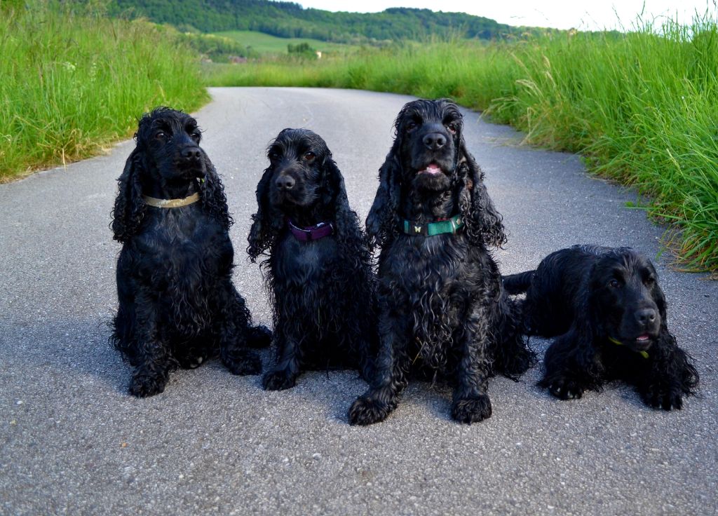 Du Domaine De Blegny - Portrait de famille !