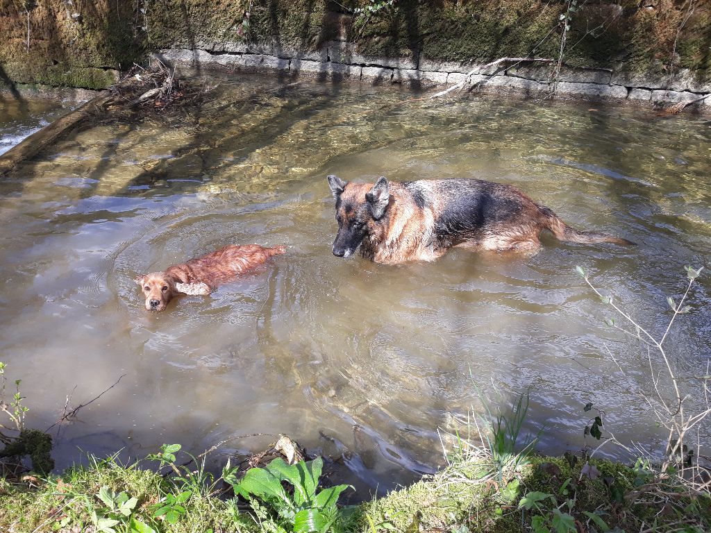 Du Domaine De Blegny - Petite baignade !