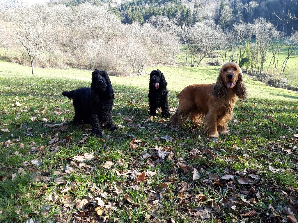 Du Domaine De Blegny - On profite du soleil !!!