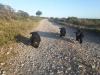  - Le trio de choc en vacances !