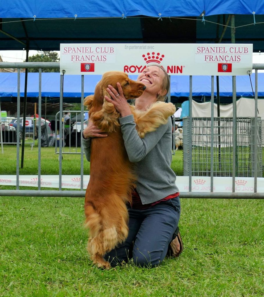 Du Domaine De Blegny - Nationale d'élevage du Spaniel 2021 !