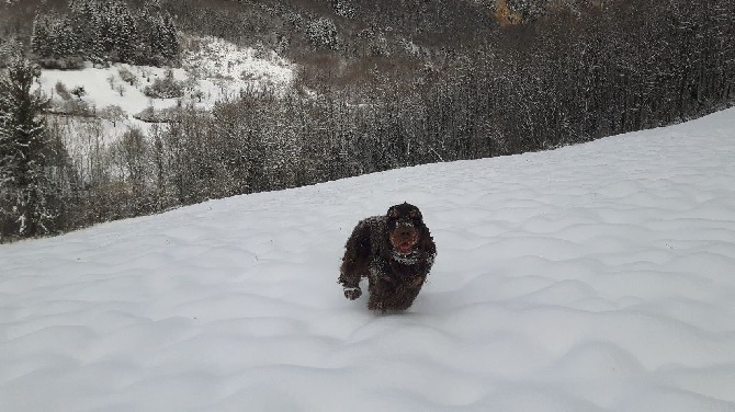 Du Domaine De Blegny - La neige !