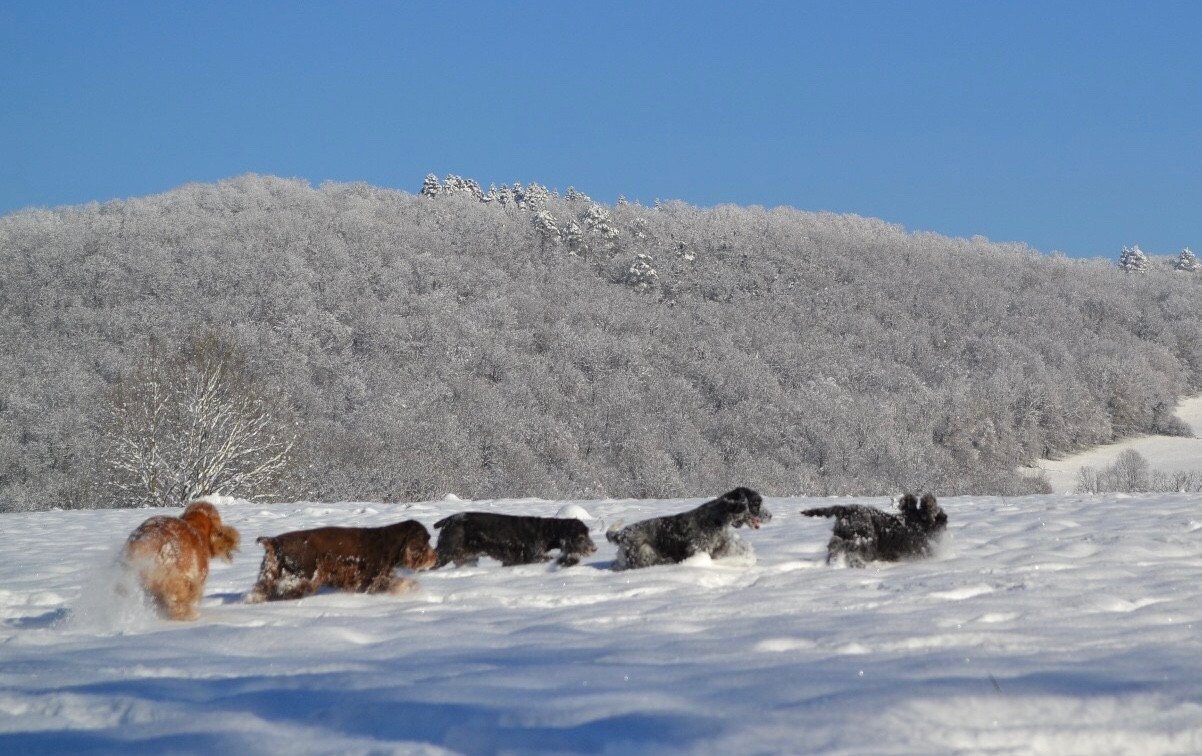 Une journée magnifique !
