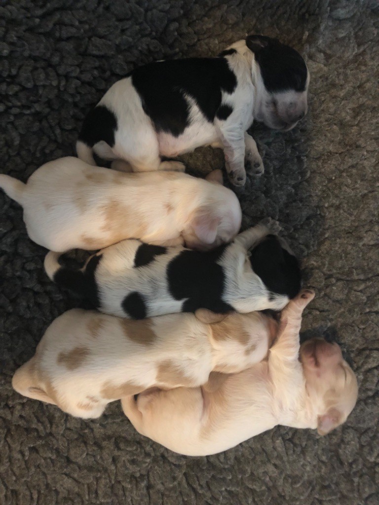 Les bébés sont nés le 24 août !