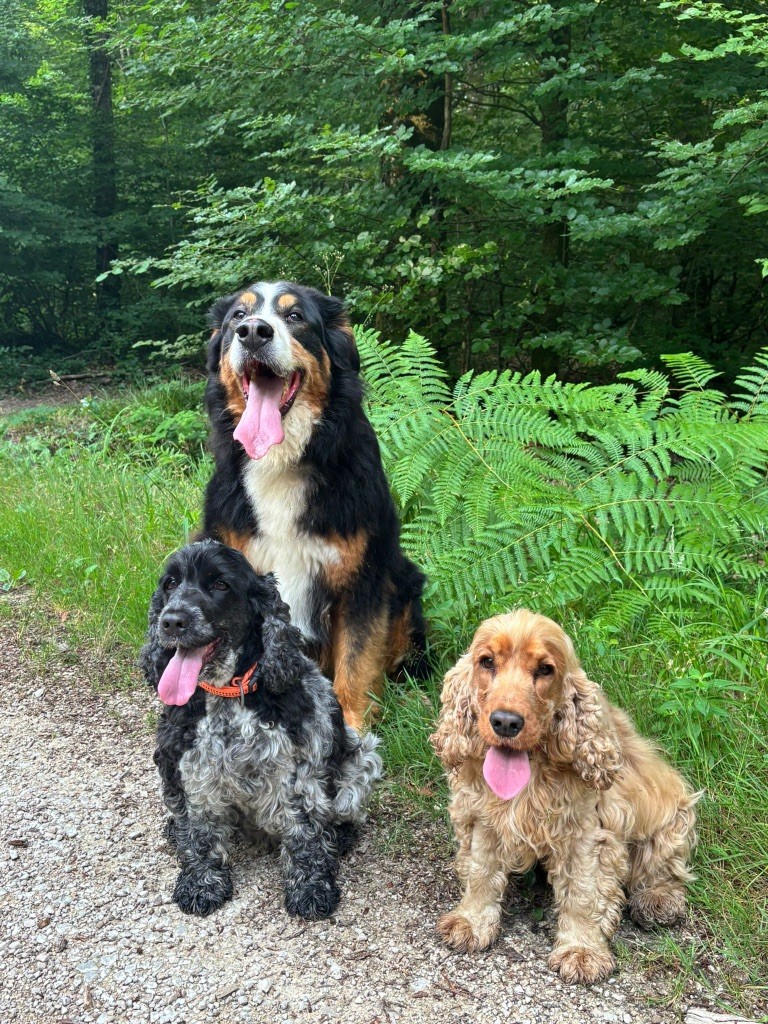 La famille !!!!