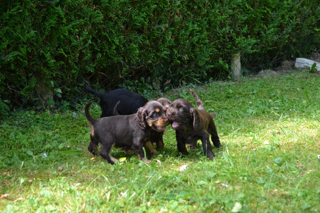 Du Domaine De Blegny - Les bébés de Ioka profitent du soleil !!!